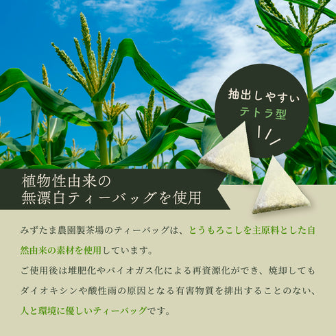 Kintoki Ginger Green Tea Onkatsu Komachi 3.5g x 10p